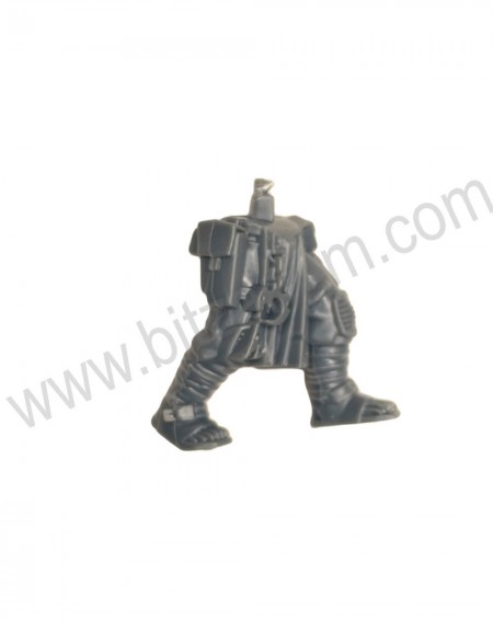 Jambes 4 Neophyte hybrids