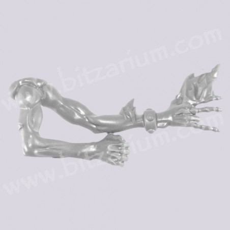 Right Arm 1