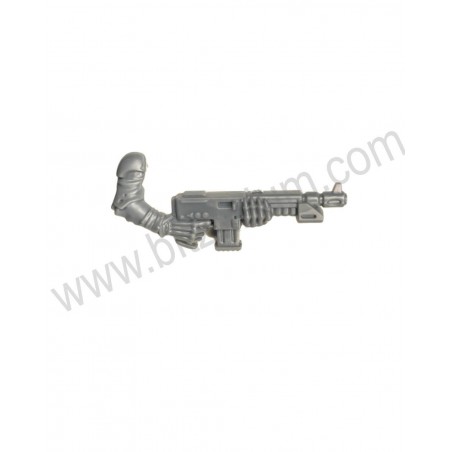 Bras fusil assaut 7 - Neophyte hybrids