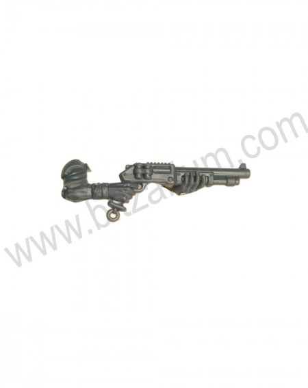 Bras fusil pompe 1 Neophyte hybrids