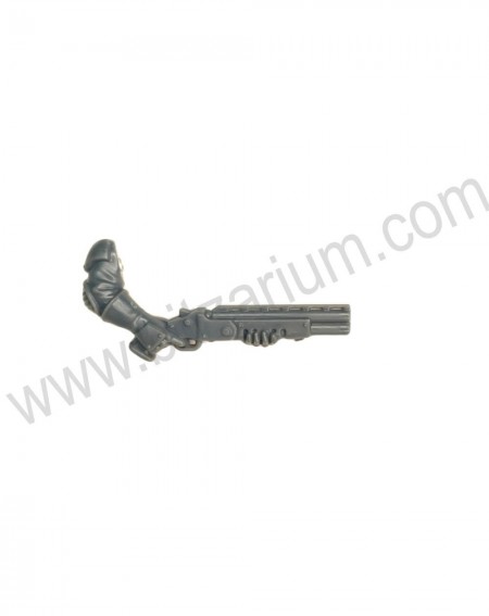 Bras fusil pompe 2 Neophyte hybrids