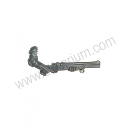Bras fusil pompe 5 - Neophyte hybrids