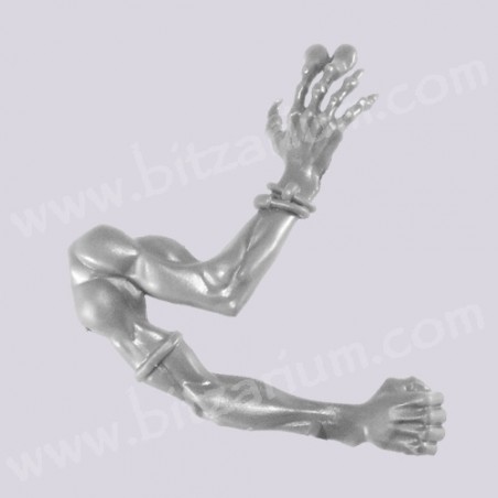 Right Arm 5