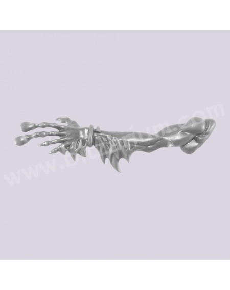 Left Arm 5