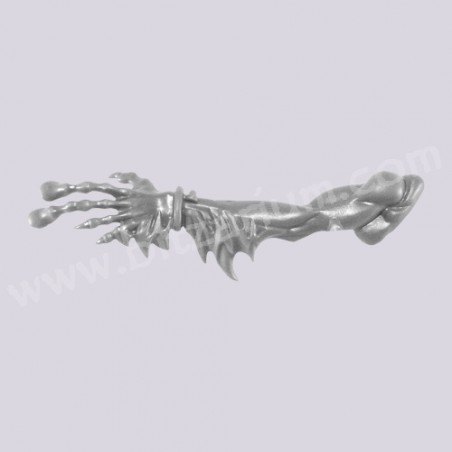 Left Arm 5