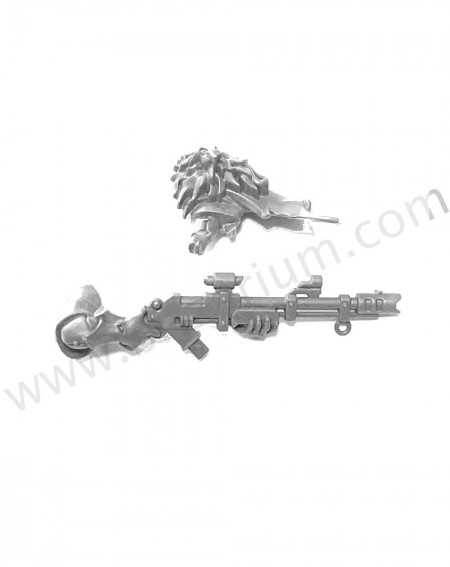 Fusil long B Ash Waste Nomads