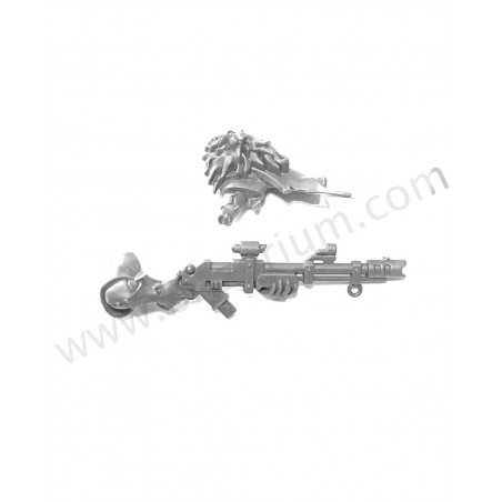 Fusil long B - Ash Waste Nomads