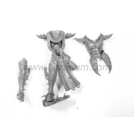 Corps d'Incubes Drukhari 3 - Incubi
