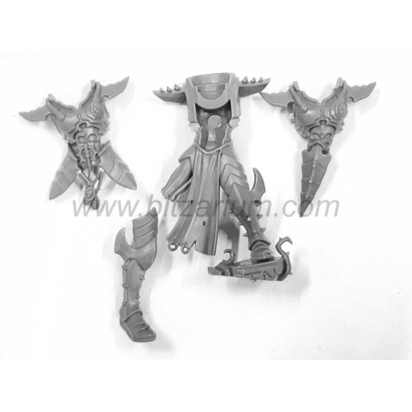 Corps d'Incubes Drukhari 5 - Incubi