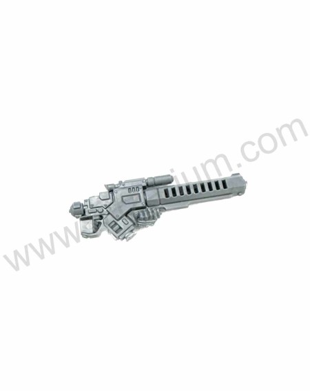 Fusil Magna-rail Hearthkyn Warriors