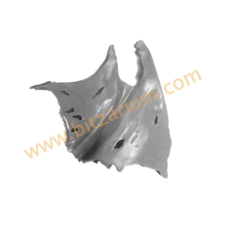 Champion - Cape - Chaos Elu
