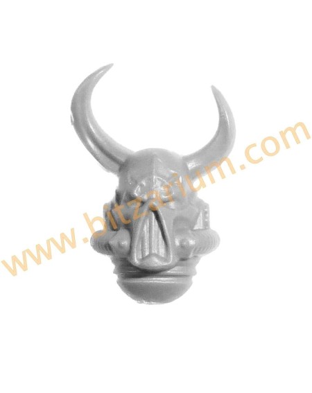 Champion Elu - Tête 1 Chaos Elu