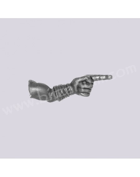 Left Arm