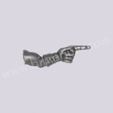 Left Arm