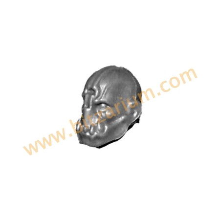 World Eaters Jakhals Head A - Jakhals