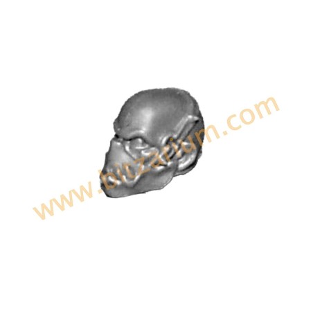 World Eaters Jakhals Head O - Jakhals
