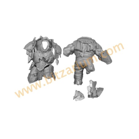 Corps 2 - Orruk Ardboys 2023