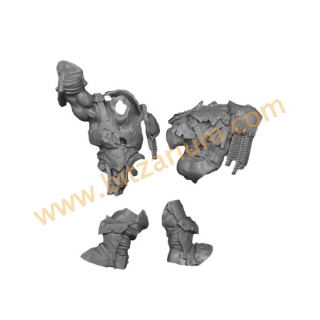  Body 5 - Orruk Ardboys 2023