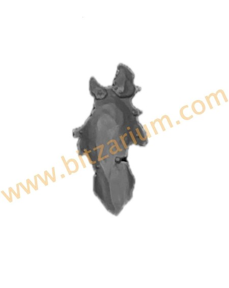 Orruk Warclans Ardboy 2023 Bouclier 3 Orruk Ardboys 2023