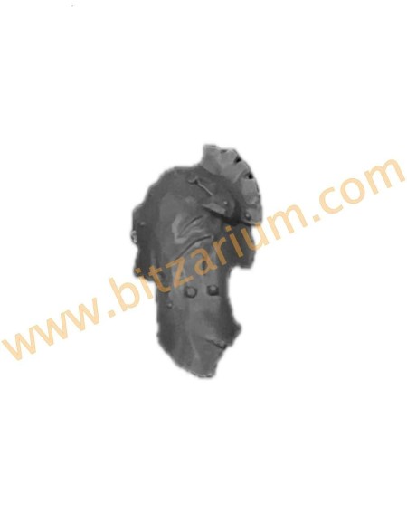 Orruk Warclans Ardboy 2023 Bouclier 5 Orruk Ardboys 2023
