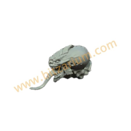 Tyranid Genestealers Tête 1