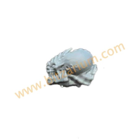 Tyranid Genestealers Tête 12