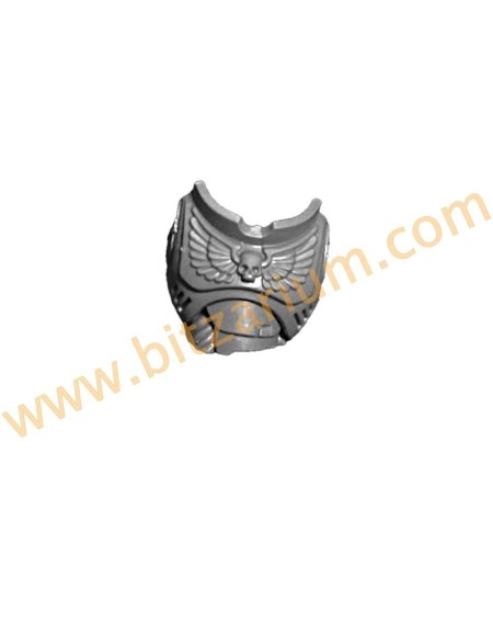 Armure de face Desolation Squad