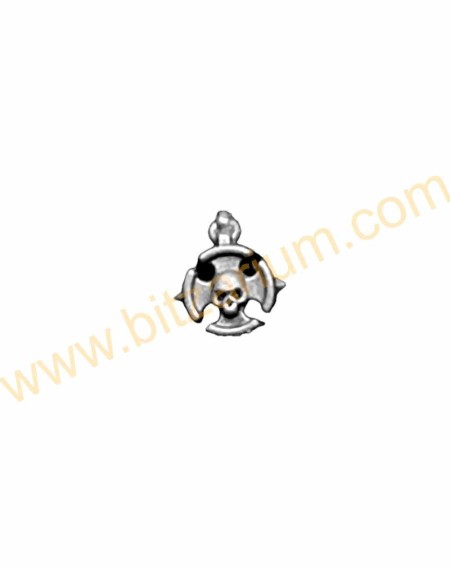 Petite icône C Space Marines Sternguard Veteran Squad 2023