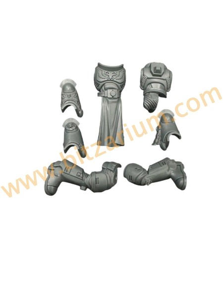 Corps D (7) Space Marines Sternguard Veteran Squad 2023