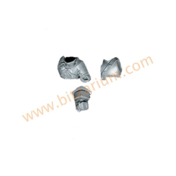 Torse de cavalier C - Freeguild Cavaliers