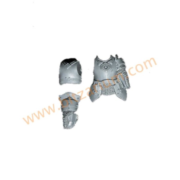 Torse de cavalier D - Freeguild Cavaliers