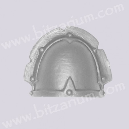 Shoulder Pad 2
