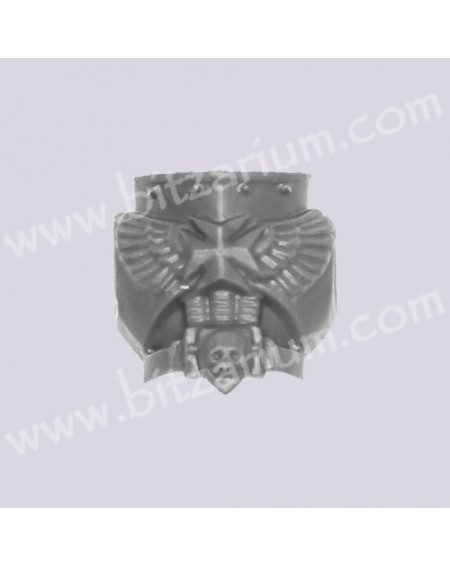 Front Chest 1