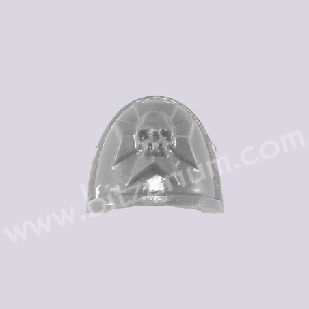 Shoulder Pad 1