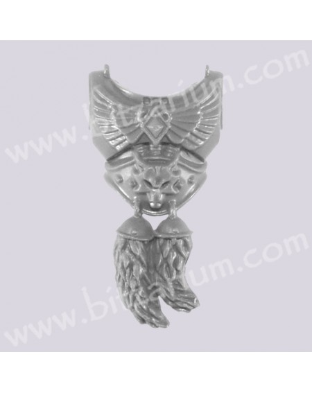 Front Chest 1