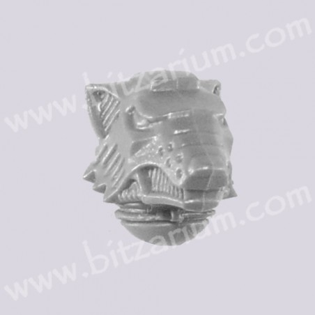 Helmeted Head 4
