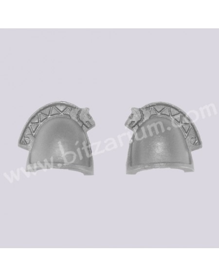 Shoulder Pads 1