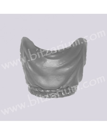 Front Chest 5