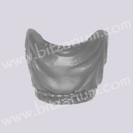 Front Torso 5