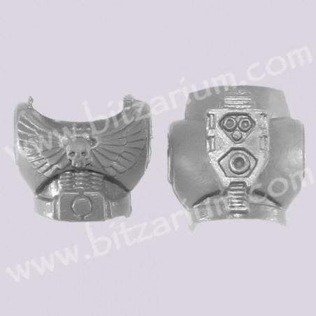 Pilot Torso