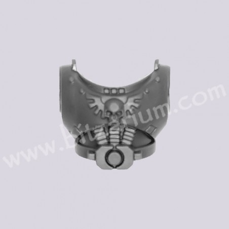 Front Chest 1