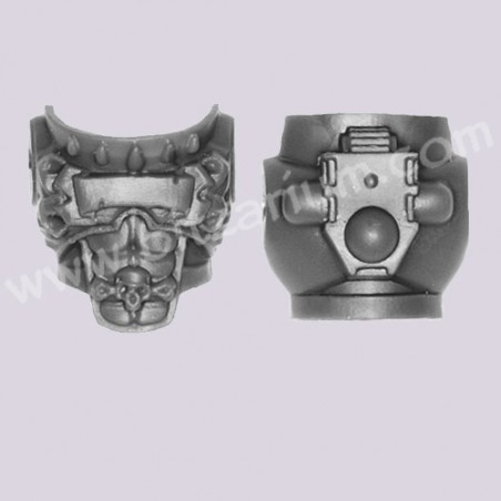Torso 2 - Sanguinary Guard