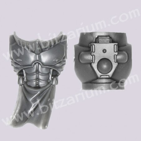 Torso 3 - Sanguinary Guard