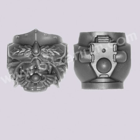 Torso 5 - Sanguinary Guard