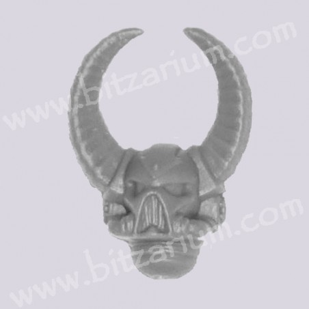 Head 5