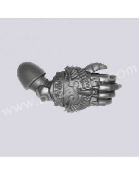 Power Fist