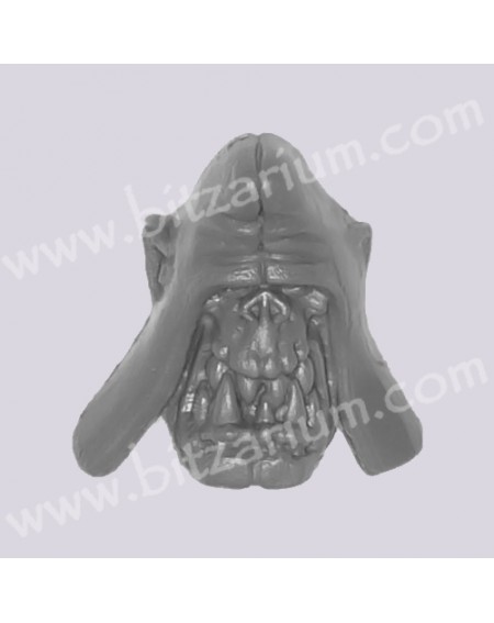 Head 2