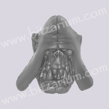 Head 2
