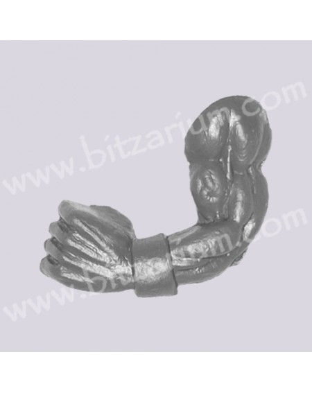 Left Arm