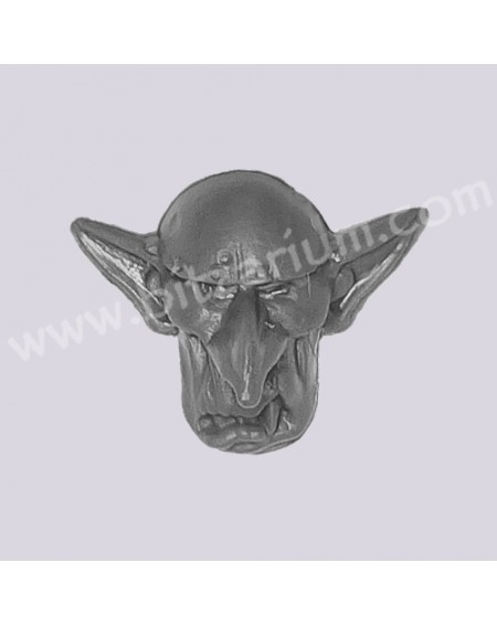 Head H